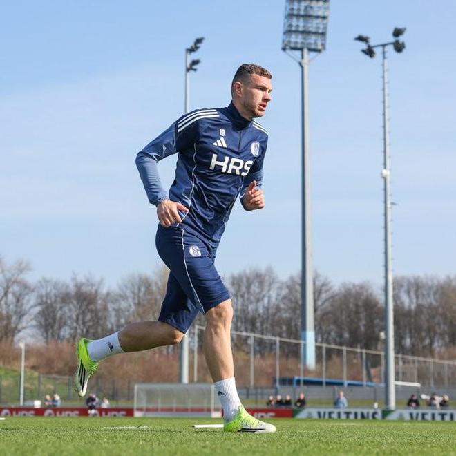 沙尔克04更新球队伤情：哲科已逐渐康复，目前将先进行单独训练