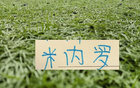 马纳法五月比赛报销！